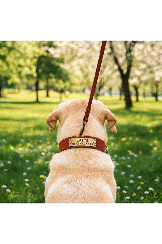 Kişiye Özel Köpek İsimli Boyun Tasması, Hakiki Vejetal Deri, Dayanıklı Malzeme, Paslanmaz Çelik