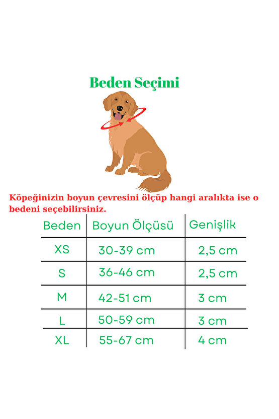 Kişiye Özel Köpek İsimli Boyun Tasması, Hakiki Vejetal Deri, Dayanıklı Malzeme, Paslanmaz Çelik