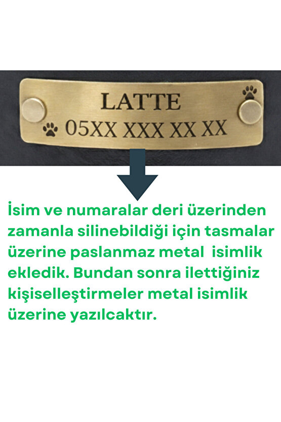 Kişiye Özel Köpek İsimli Boyun Tasması, Hakiki Vejetal Deri, Dayanıklı Malzeme, Paslanmaz Çelik