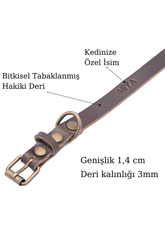 Kişiye Özel Hakiki Deri Kedi Tasması, El Yapımı, Dayanıklı ve Şık İsimli Kedi Tasması