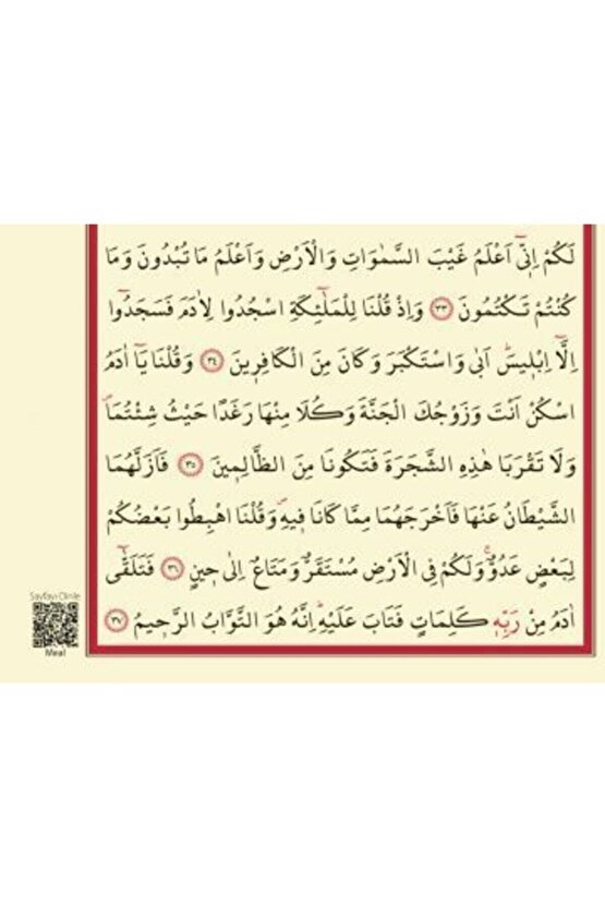 Hatim Seti 30 Cüz Kuranı Kerim Camii Boy 25 E 34 Cm Iri Yazılı Diyanet Onaylı Kuranı Kerim