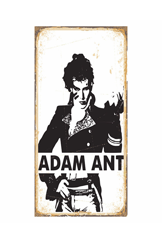 pop rock müzik efsanesi adam ant müzik ev dekorayon tablo mini retro ahşap poster