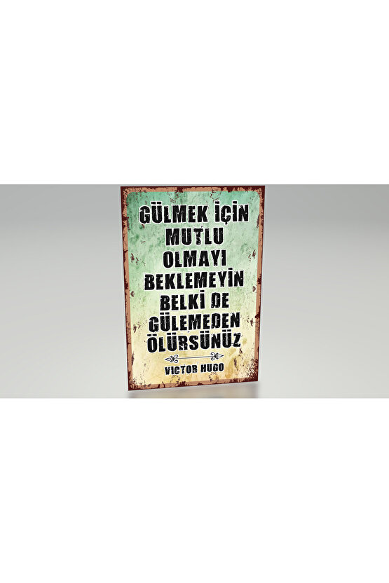 motivasyon sözleri Victor Hugo özlü sözler duvar yazıları retro ahşap poster
