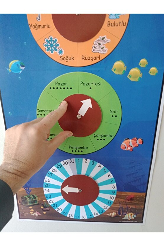 Mevsim Şeridi Ve Çarklı Takvim