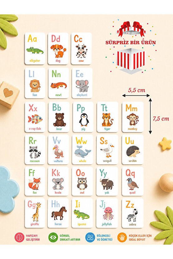 Ahşap Ingilizce Alfabe Kartları - Alfabe Ingilizce Eğitim Seti Ingilizce Öğrenme Kartları Montessori