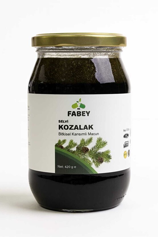 Selvi Kozalak Bitkisel Karışımlı Macun 420gr