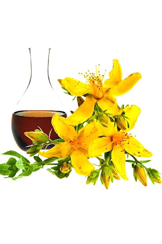 Sarı Kantaron Yağı (MASERASYON) 250 ml 4 Adet