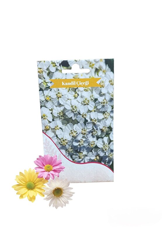 Kandil Çiçeği Tohumu 5gr