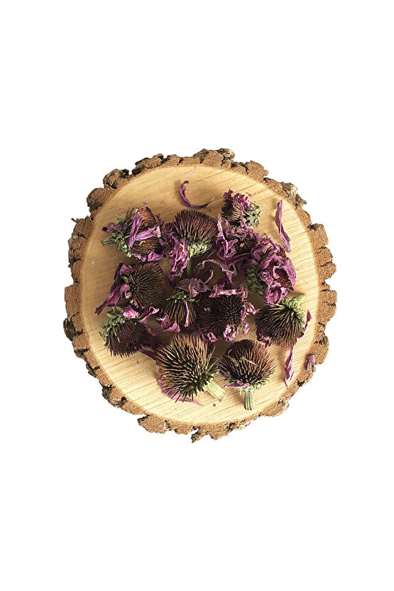 EKİNEZYA 40 GR