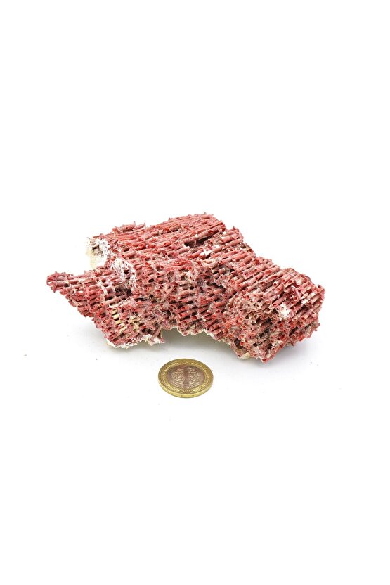 Hakiki Doğal Kırmızı Mercan Kaya Parçası 96 Gram
