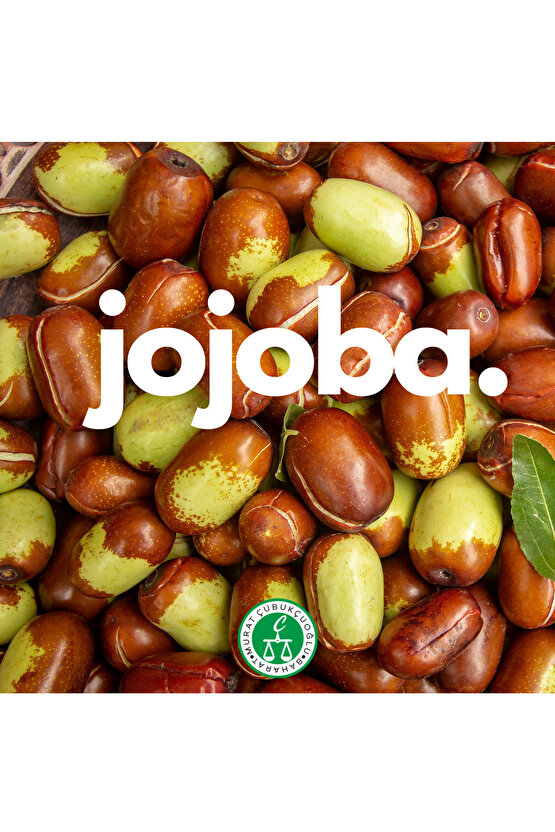 Jojoba Esansı – Doğal Ve Yenileyici Cilt Bakımı - 10 Cc - Murat Çubukçuoğlu