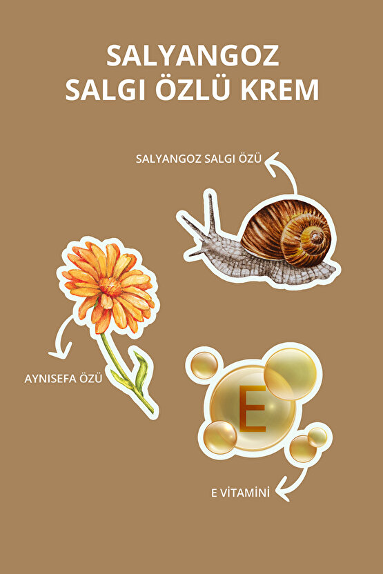 Salyangoz Salgı Özlü Kırışıklık Karşıtı Snail Krem 45 ml