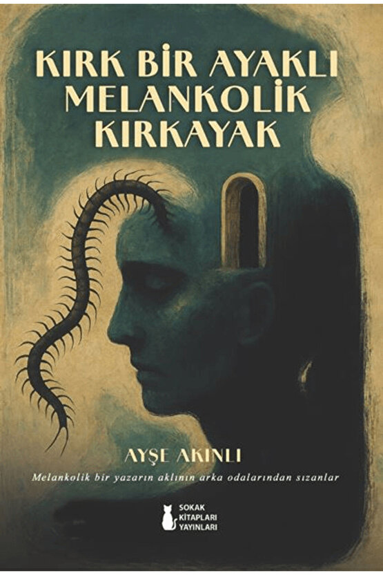 Kırk Bir Ayaklı Melankolik Kırkayak  Ayşe Akınlı   9786255776228
