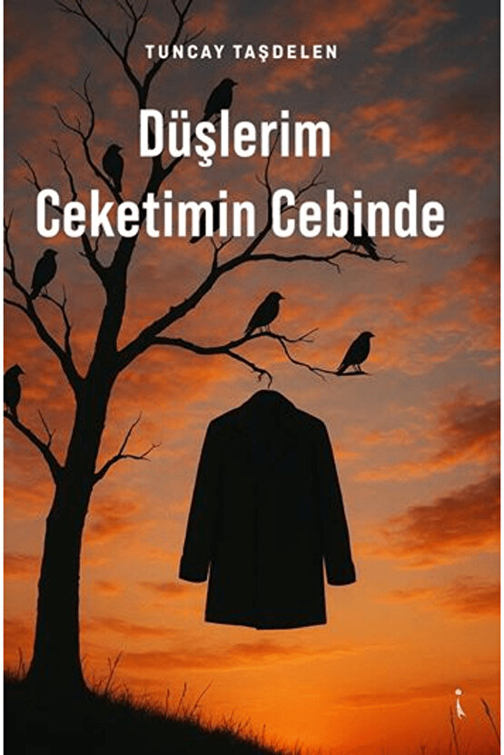 Düşlerim Ceketimin Cebinde  Tuncay Taşdelen   9786255665942