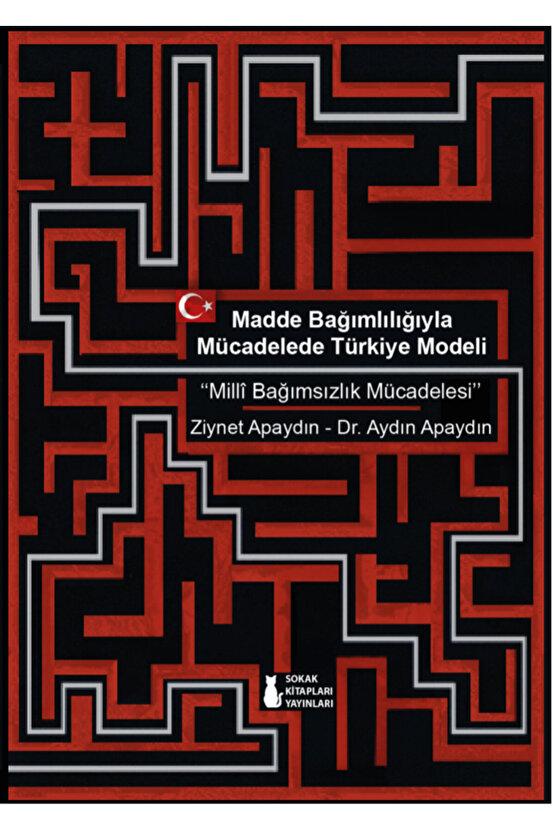 Madde Bağımlılığıyla Mücadelede Türkiye Modeli - Ziynet Apaydın – Dr. Aydın Apaydın