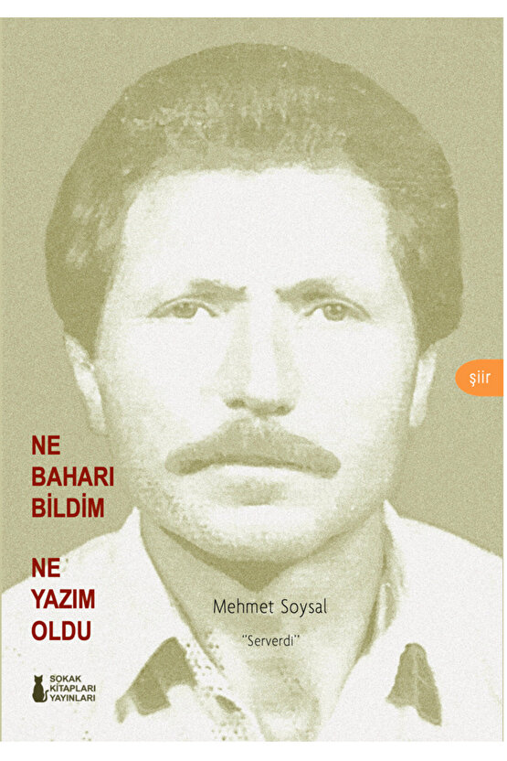 NE BAHARI BİLDİM NE YAZIM OLDU - MEHMET SOYSAL