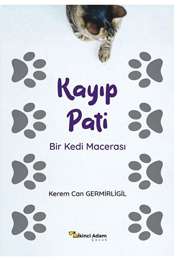 Kayıp Pati  Kerem Can Germirligil  İkinci Adam Yayınları  9786253739157
