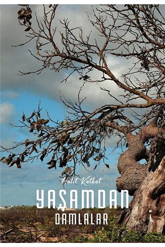 Yaşamdan Damlalar