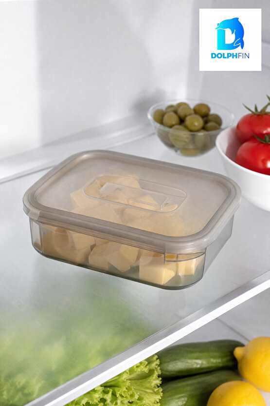Mikro Saklama Kabı 750 ml Çok Renkli 17 x 13 x 5 cm