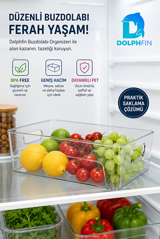 Şeffaf PET Buzdolabı Organizeri Büyük Kulplu Düzenleyici Kutu 29,5x20,5x9 cm