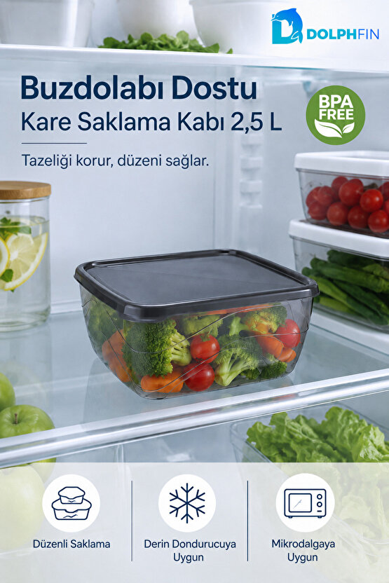Kare Saklama Kabı 2,5 Litre 21x21x8,5 cm Füme Şeffaf Siyah Kapaklı BPA İçermez