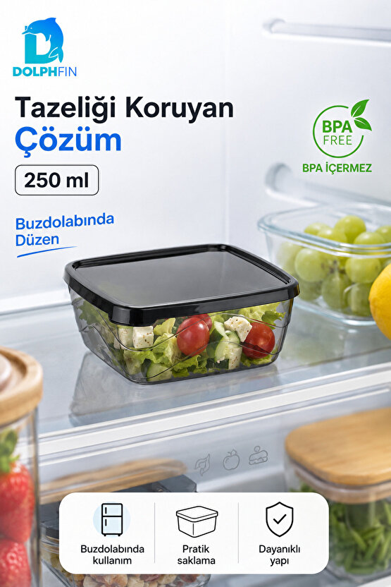Kare Saklama Kabı 250 ml 10x10x4 cm Füme Şeffaf Siyah Kapaklı BPA İçermez