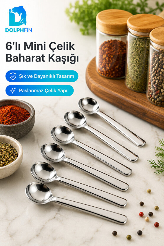 6’lı Mini Paslanmaz Çelik Baharat Kaşığı Ölçü ve Servis Kaşık Seti
