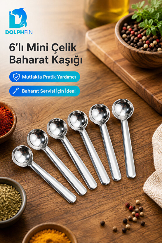 6’lı Mini Paslanmaz Çelik Baharat Kaşığı Ölçü ve Servis Kaşık Seti