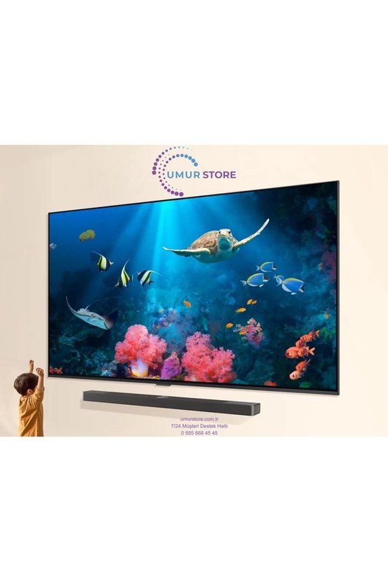 65QNED86A6A TV 65 inç Televizyon Askı Aparatı