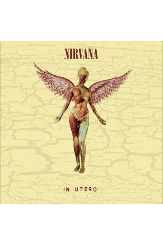Nirvana In Utero LP Plak