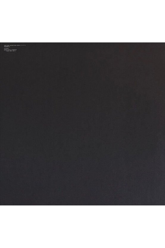 Aphex Twin Computer Controlled Acoustic Instruments Pt2 12 LP Plak