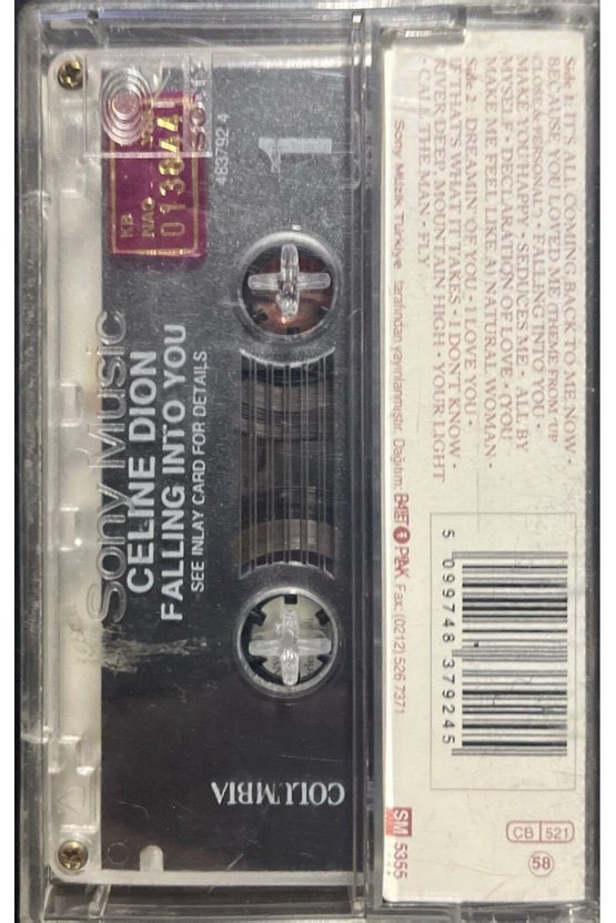 Kaset Celine Dion Falling Into You Kaset