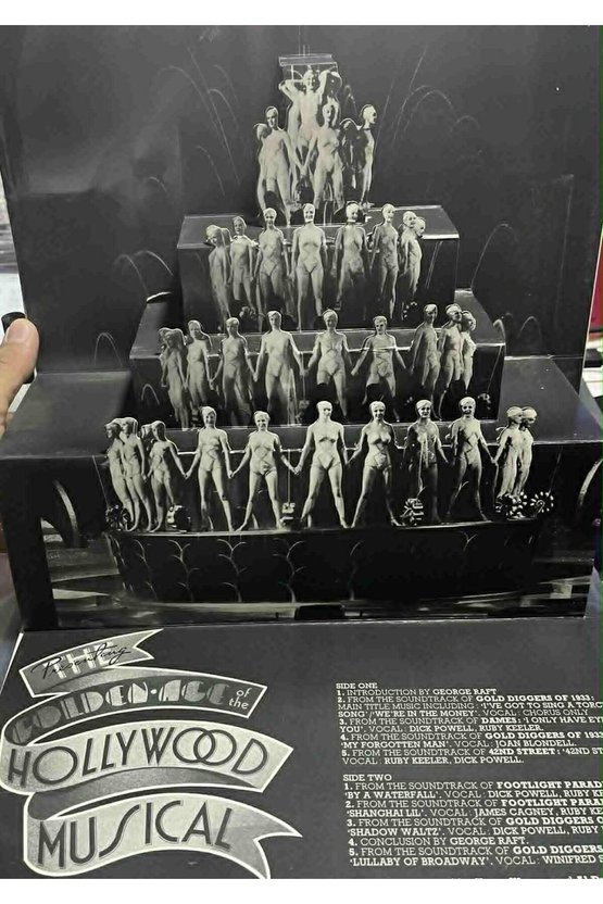 Hollywood Musical 3 Boyutlu Kapak LP Plak