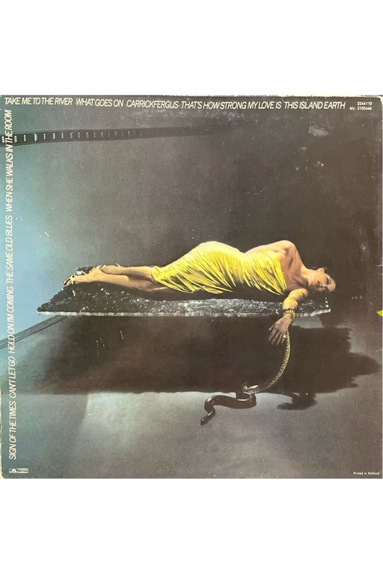 Bryan Ferry The Bridge Stripped Bare LP Plak