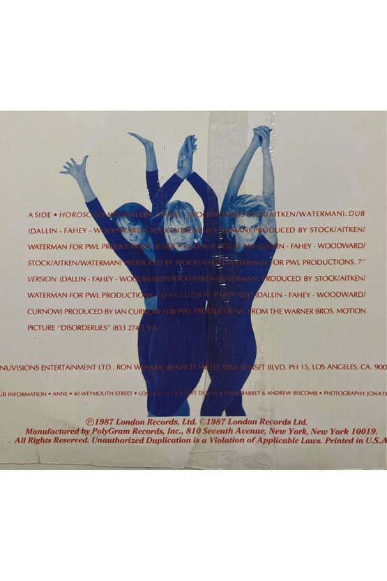 Bananarama I Heard A Rumour 12 Maxi Single LP Plak