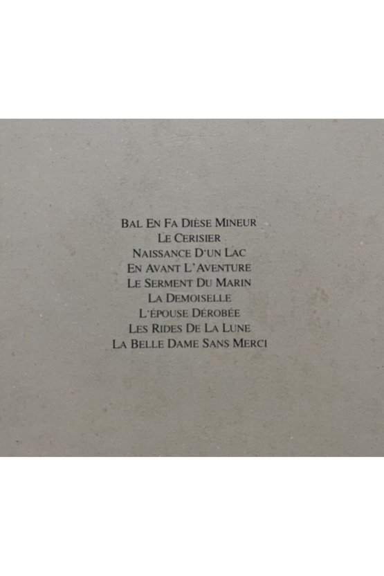 Angelo Branduardi La Demoisselle Lp Plak
