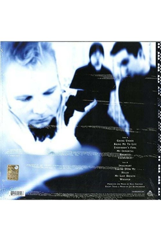 Evanescence Fallen LP Plak