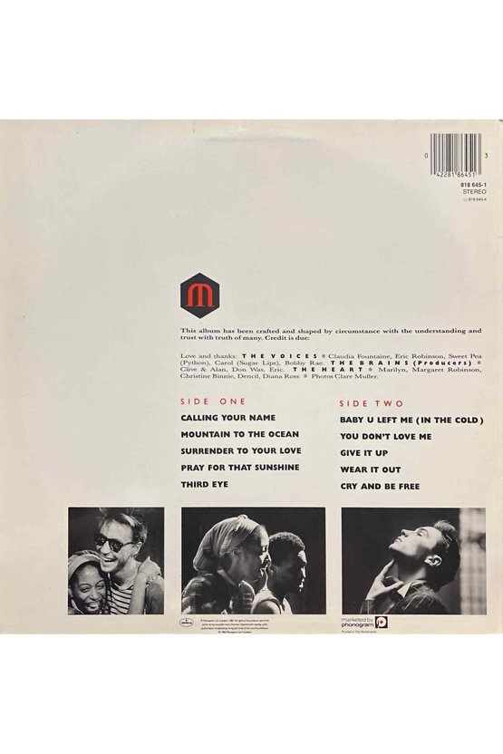 Marilyn Despite Straitht Lines LP Plak