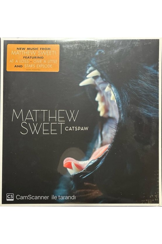 Matthew Sweet Catspaw LP Plak