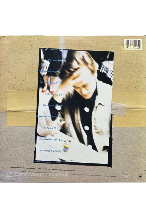 Matthew Sweet Inside LP Plak