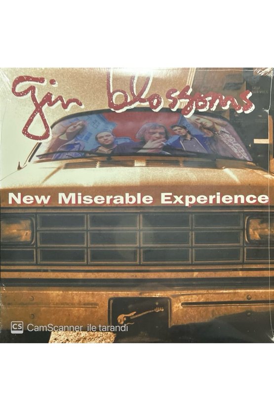 Gin Blossoms New Miserable Experience LP Plak