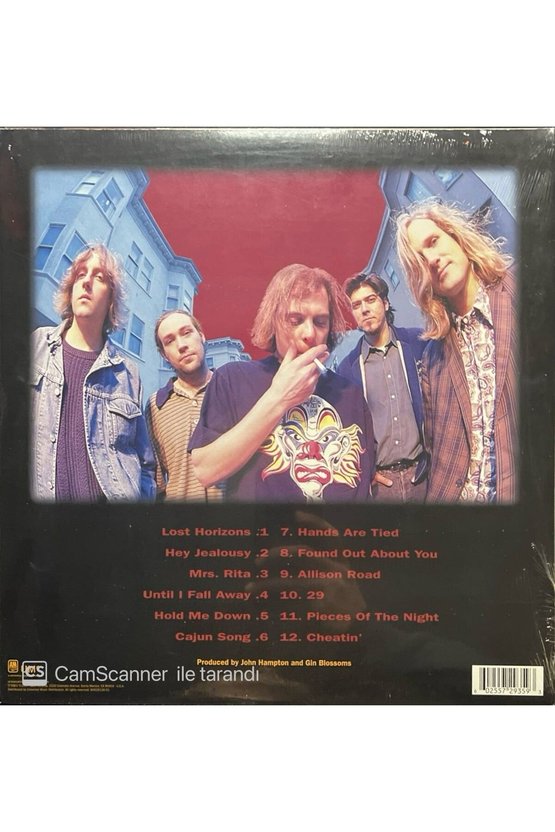 Gin Blossoms New Miserable Experience LP Plak