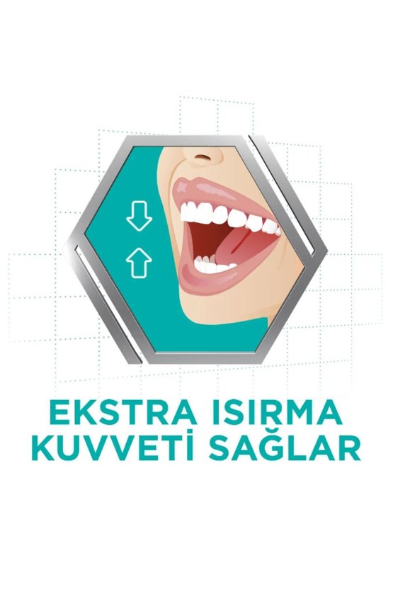 Süper Diş Protezi Yapıştırıcı Tat İçermez Krem 40 Gr 5li