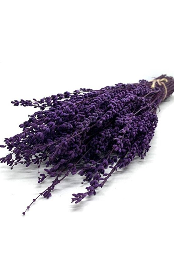 Şoklanmış Doğal Lavanta Demeti Natural Lavender Bundle Mor 40-50 Cm