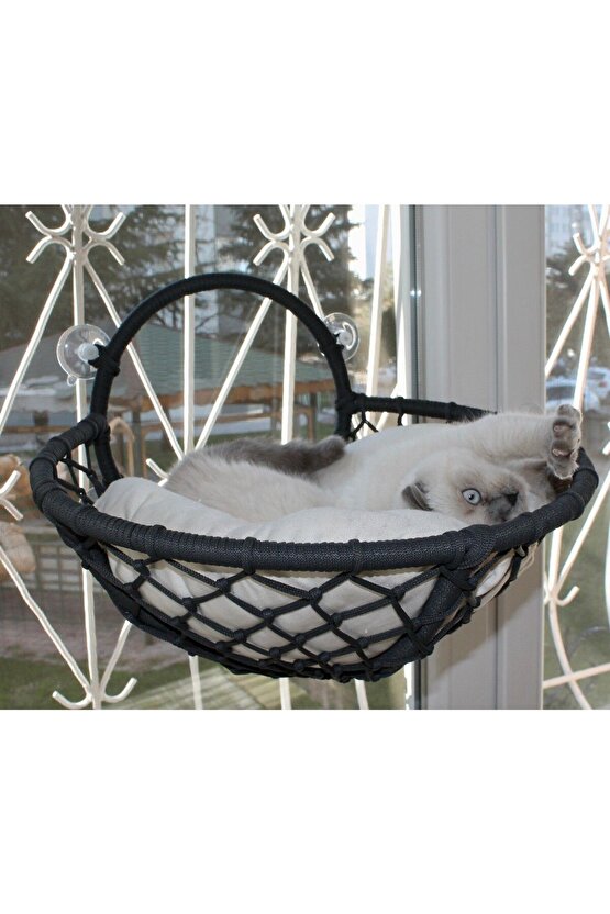 Grant Kedi Cam Yatağı & Cam Askılı Vantuzlu Kedi Yatağı Antrasit