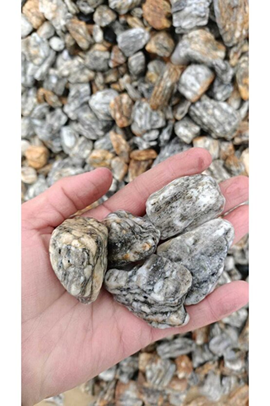 Gnays Tamburlu 5kg 6-8 Doğal Dekoratif Peyzaj Dolamit Granit Bordo Süs Taşı
