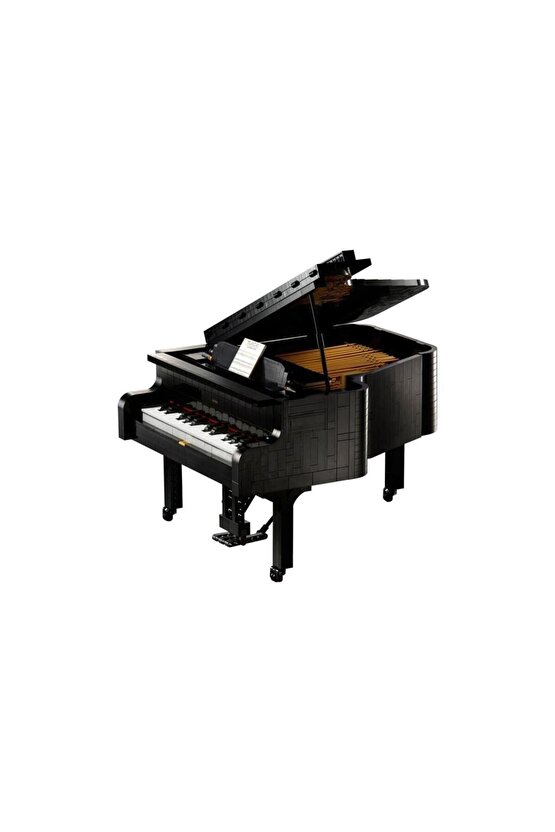 Grand Piano Ideas 21323