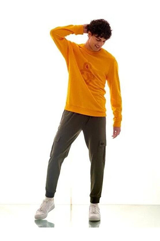 Lİsanslı Sarı Unisex Sweatshirt Hediye Aslan Ahşap Kutulu
