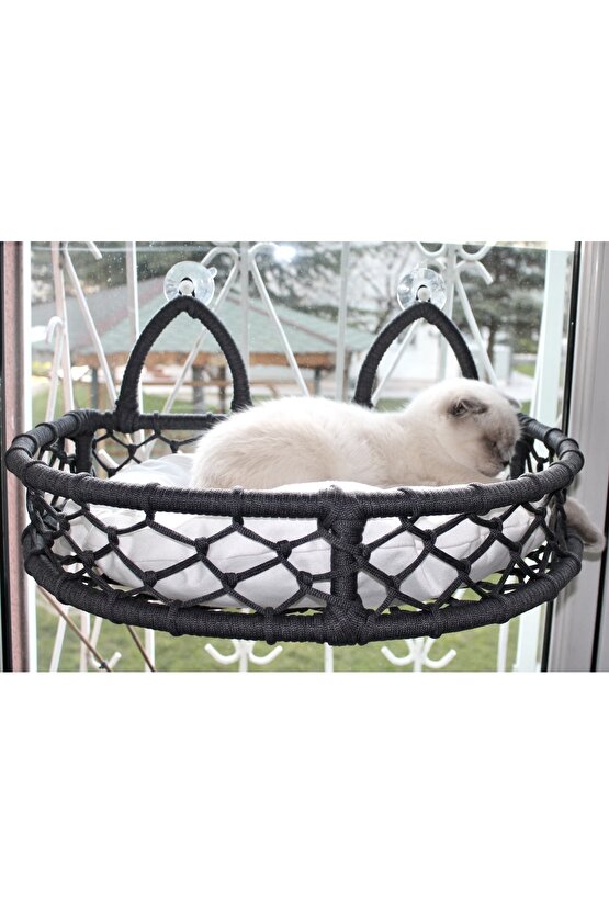 Cedric Kedi Cam Yatağı & Cam Askılı Vantuzlu Kedi Yatağı Antrasit