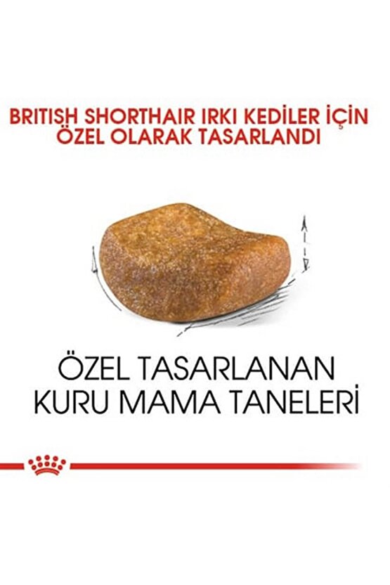 ® British Shorthair Yetişkin Kedi Maması 2 Kg